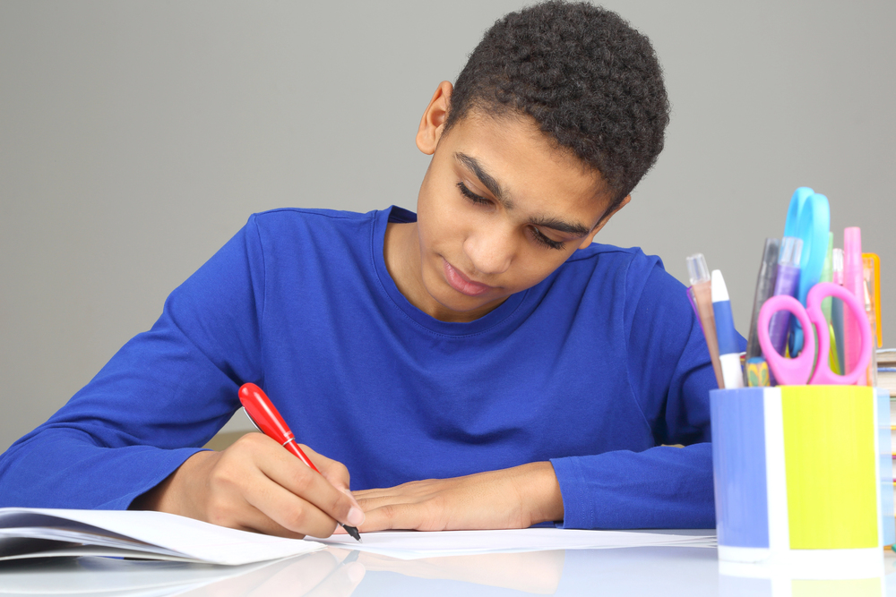 Supporting Emotional and Psychological Development in At-Risk Youth